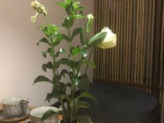 -竹里馆 ·茶食(奥体店)