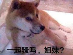 -川西坝子(老军营店)