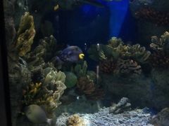 -福州罗源湾海洋世界旅游区