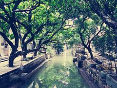 -小洲村