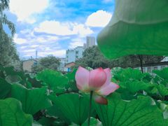 -清晏园