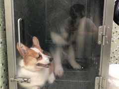 -瑞鹏·疫苗·绝育·宠物医院(金沙洲店)