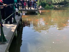 -西湖外事游船(花港观鱼码头)