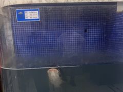 -香山湖渔家大院