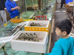 -寻味顺德·南记酒家·传统顺德菜·鱼生(广源路店)