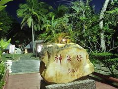-三亚海棠湾南田温泉神龙谷