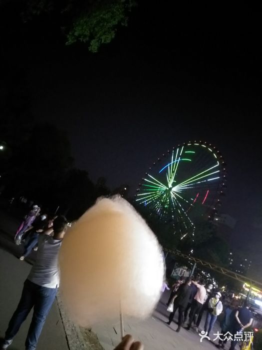 沈阳南湖公园图片