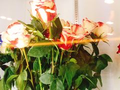 -ROSEONLY诺誓(国际广场购物中心店)