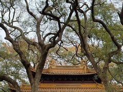 -普陀山风景名胜区-法雨禅寺
