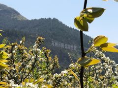 -云河农家乐饭店(福禄缘树山店)