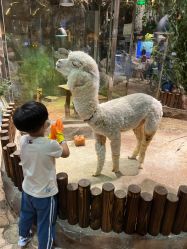 -宝燕乐园(闵行旗舰店)