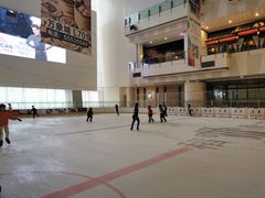 -冰纷万象滑冰场(二七万象城店)