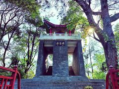 -青龙山国家森林公园