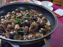 田螺焖三洲黑鹅-园林美食城·本土农家菜(杨和镇店)