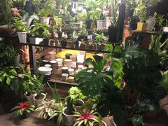 -席娜卡琳火车铁道夜市