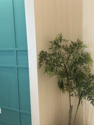 点击看大图 -杨益美学·野生眉半永久纹眉发际线