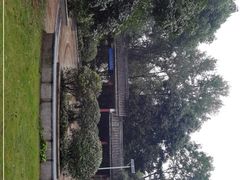 -潜山国家森林公园