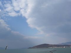 -小普陀