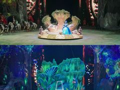 -广州长隆国际大马戏