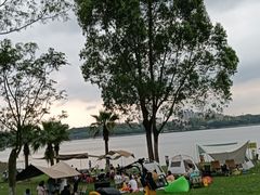 -仙湖旅游度假区