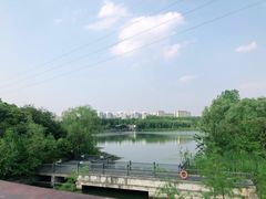 -昆山城市生态森林公园