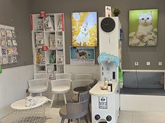 -关爱宠物医院·猫科中心·消化科(滨湖万达分院)