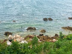 -养马岛旅游度假区