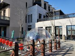-上海崇明金茂凯悦酒店