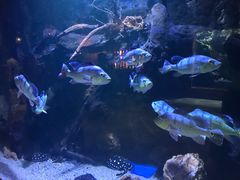 -华夏文旅海洋公园