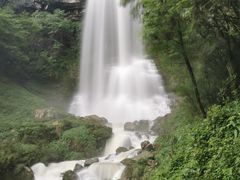 -鹿院坪生态旅游景区
