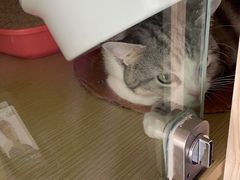-萌兽医馆·眼科·异宠专科(三里屯店)