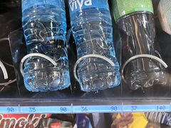 -塞尔维亚国家博物馆