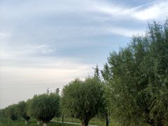 -汉长安城未央宫国家考古遗址公园