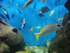 -多彩贵州城极地海洋世界