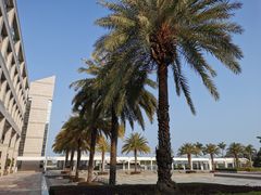 -厦门国家会计学院