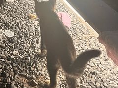 -DGE季风钓虾营地·团建·聚会
