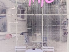-有猫主题·治愈系猫咖(曾厝垵店)