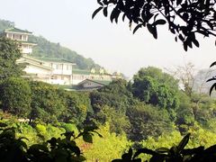 IMG_1438-桂湖饭店