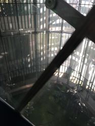 -天津市儿童医院(北辰龙岩院区)