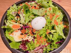 蛋蛋沙拉-Hatsune隐泉日式料理(三里屯太古里店)