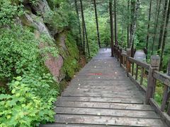 -汤旺河林海奇石景区