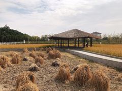 -MUSEO COFFEE咖啡博物馆