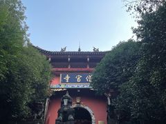 -铁山坪森林公园