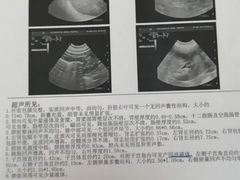 -北京赛佳动物医院