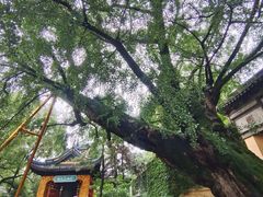 -惠山古镇·寄畅园