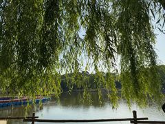 -上海鲜花港