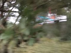 -广西壮族自治区药用植物园