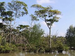 -东寨港红树林旅游区