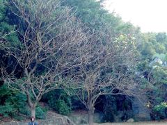 android_upload_pic-南沙天后宫景区