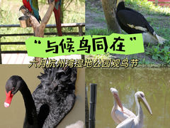 -宁波杭州湾国家湿地公园